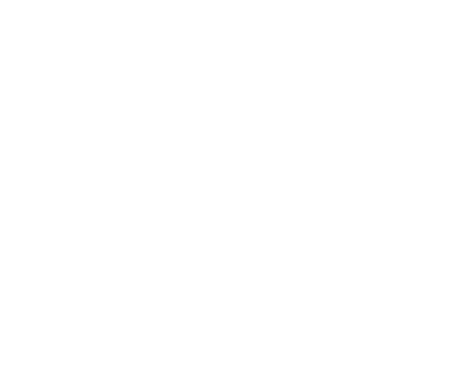 Historia Imports